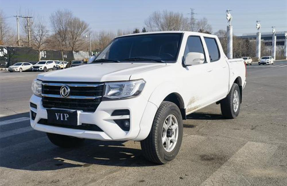 2023 Dongfeng Rich